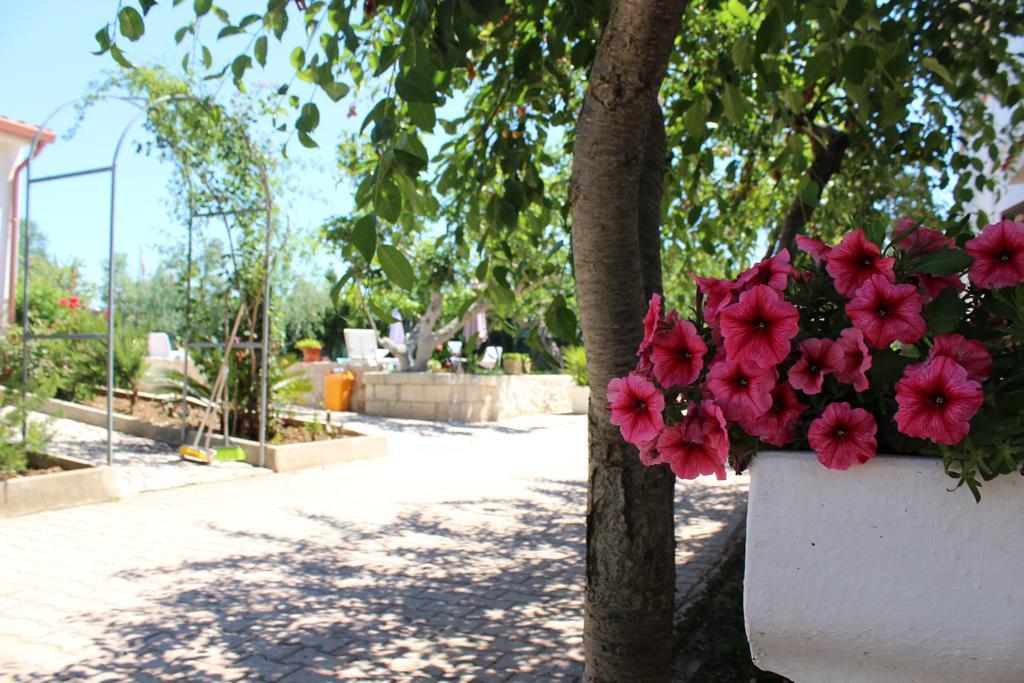 I Sapori Del Gargano Guest House Весте Екстериор снимка